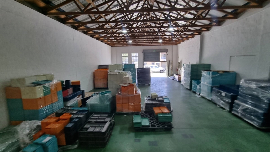 To Let commercial Property for Rent in Observatory Western Cape